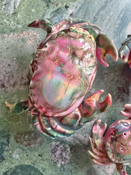 Ensemble crabes barbotine