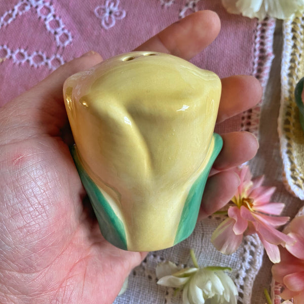 Saliere poivrière tulipes