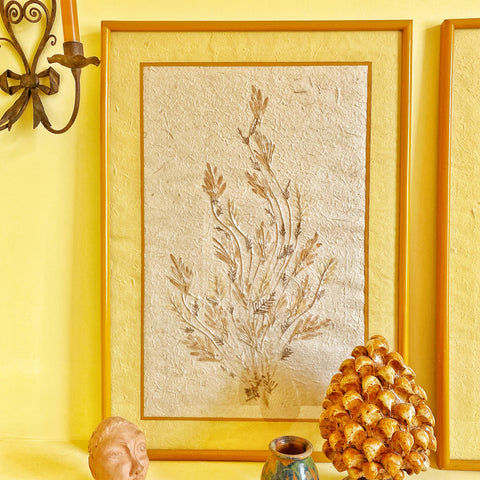 Grand Herbier vintage