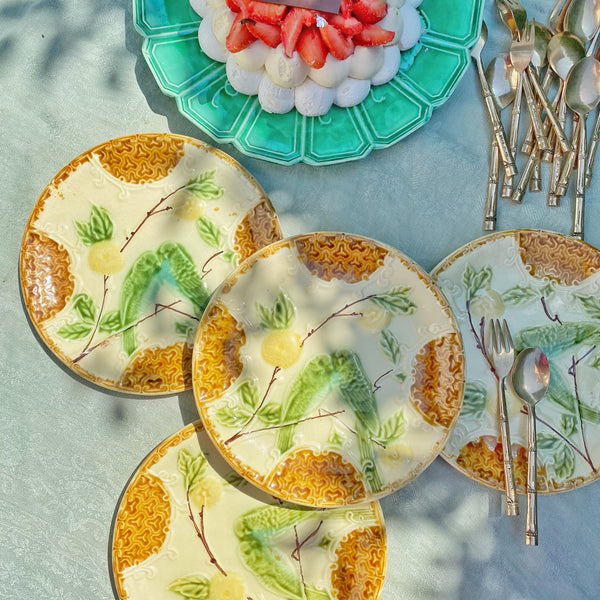 12 assiettes barbotine perruche