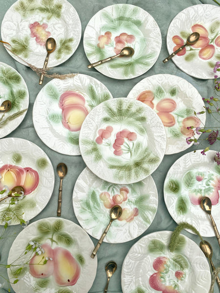 Lot de 12 assiettes Salins