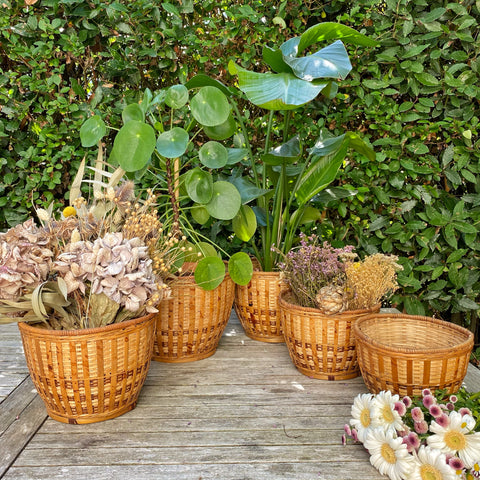 Lot de 5 cache pots anciens